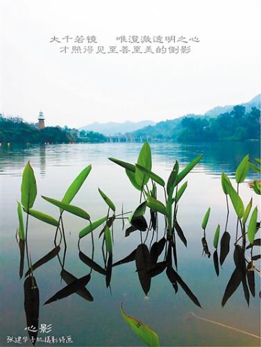 让人诗意栖居的成都给了本土诗人创作灵感 张建华拍出蓉城诗意