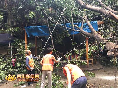 成都暴雨