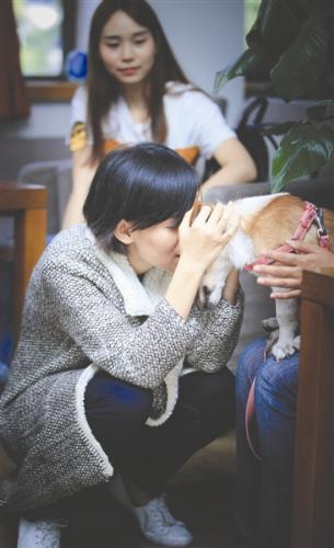 上海患重病女孩小文千里来成都托狗 她只有一个要求爱它
