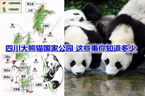 四川大熊猫国家公园勘界细则来了！意味着划界进入实际操作阶段