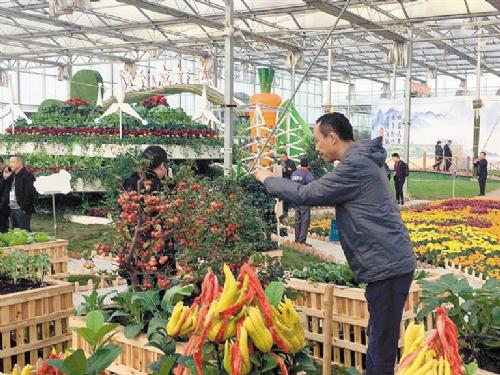 2017第八届中国·四川（彭州）蔬菜博览会开幕