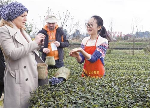 2017成都采茶节在蒲江主会场开幕 成佳茶乡获国家4A级旅游景区殊荣