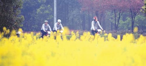 中国·成都天府绿道第九届自行车车迷健身节(崇州站)开幕