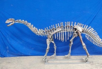 重庆云阳新田沟组发现新的恐龙动物群
