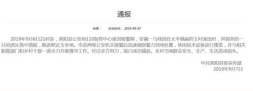 原阳县一马戏团幼虎表演时逃出铁笼 官方：已捕获