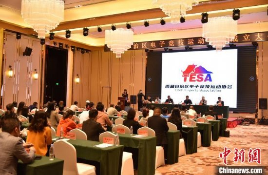 西藏自治区电子竞技运动协会7日在拉萨成立