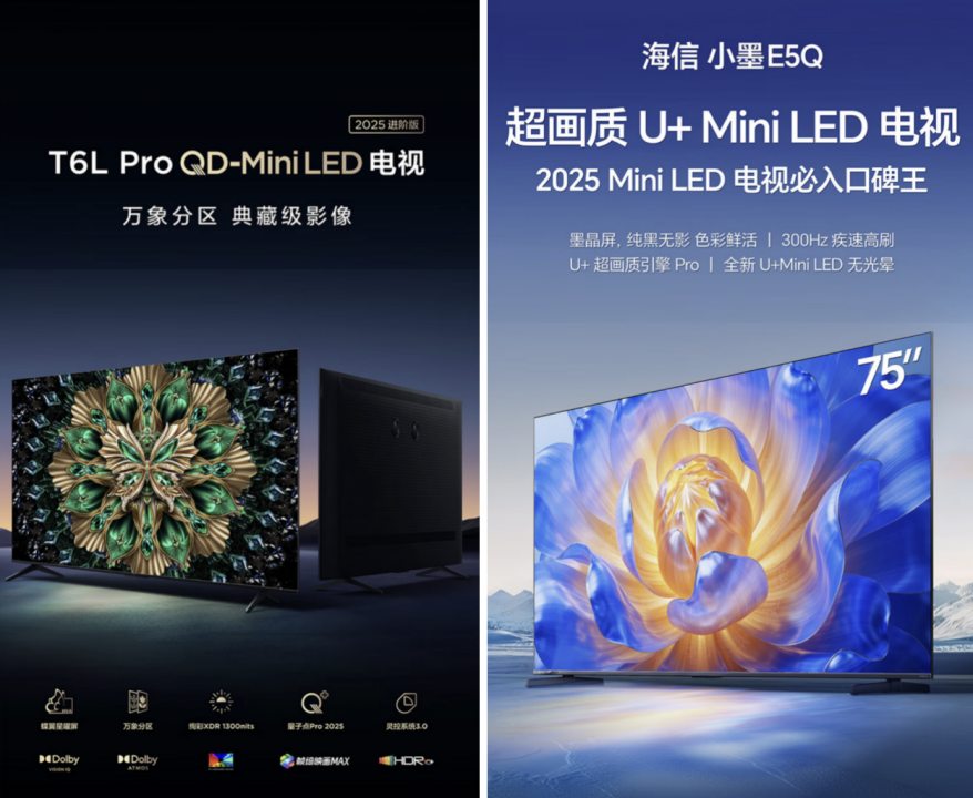 国补电视怎么选？TCL T6L Pro和海信小墨E5Q参数 对比选购建议