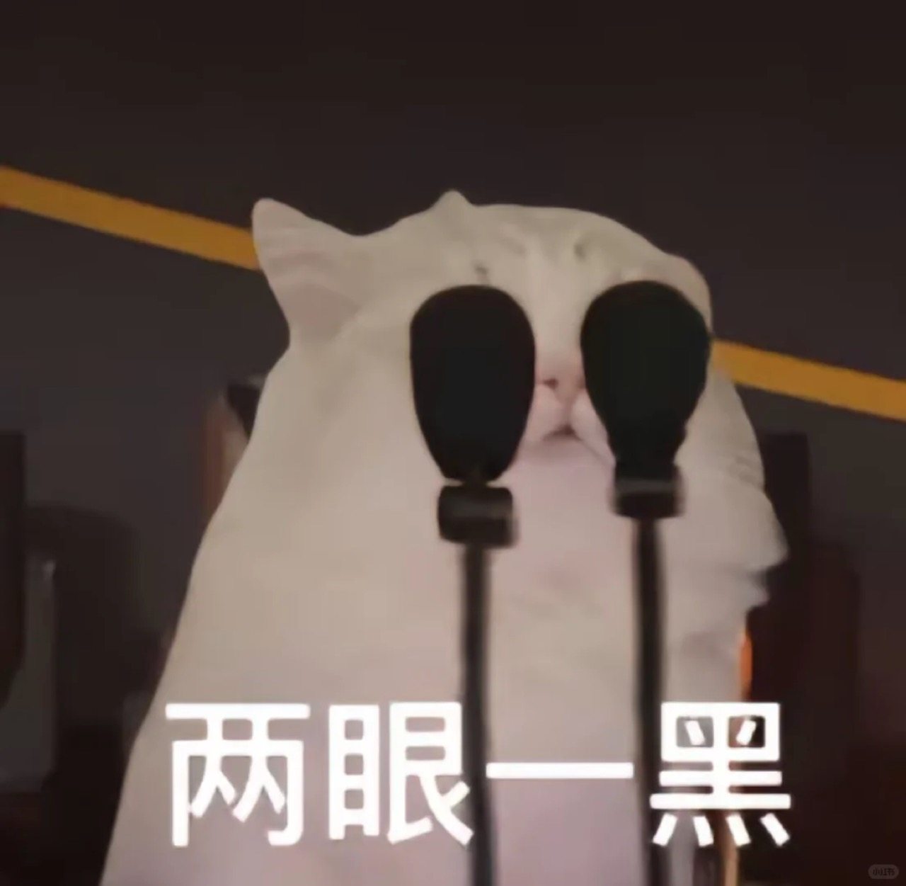 TCL T6L Pro：让你告别反光困扰，电视看得更清晰！