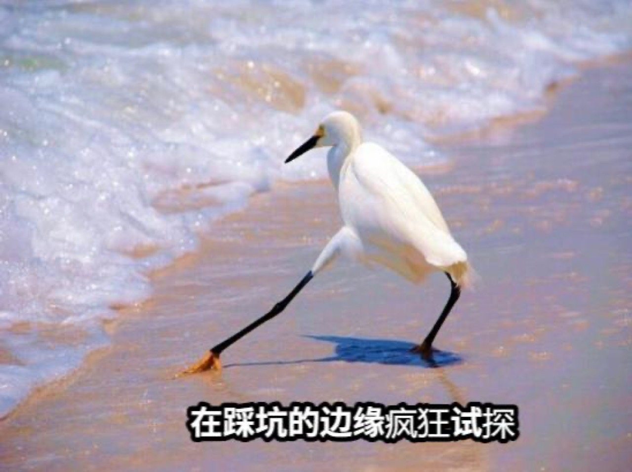 用过才明白，大屏电视“选对屏”有多爽，都是经验之谈！