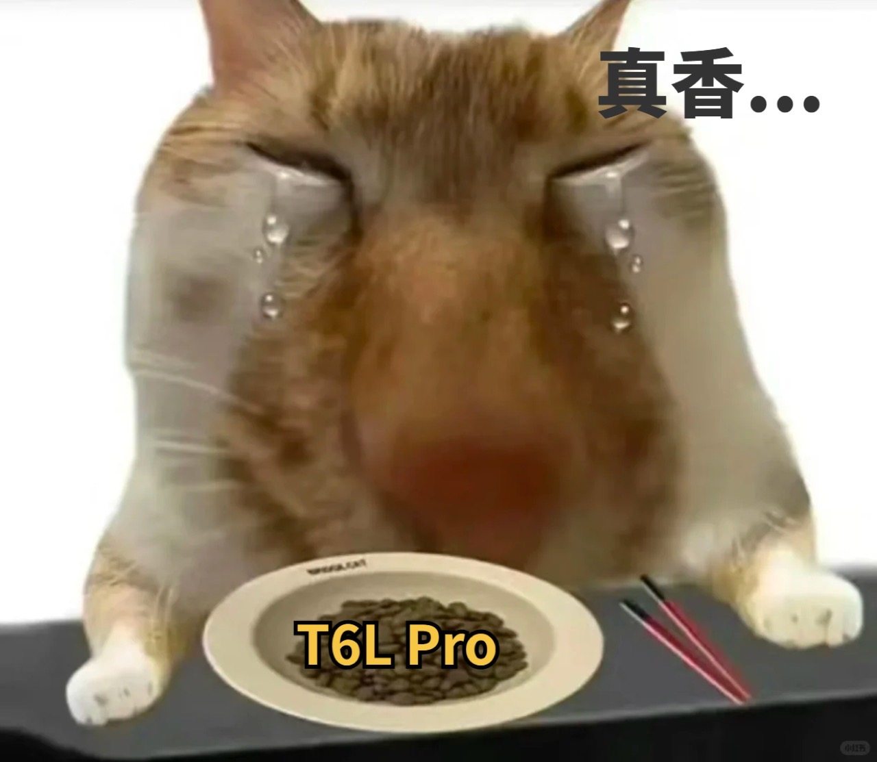 三千元的抗反机，本来不抱希望，结果真香了！
