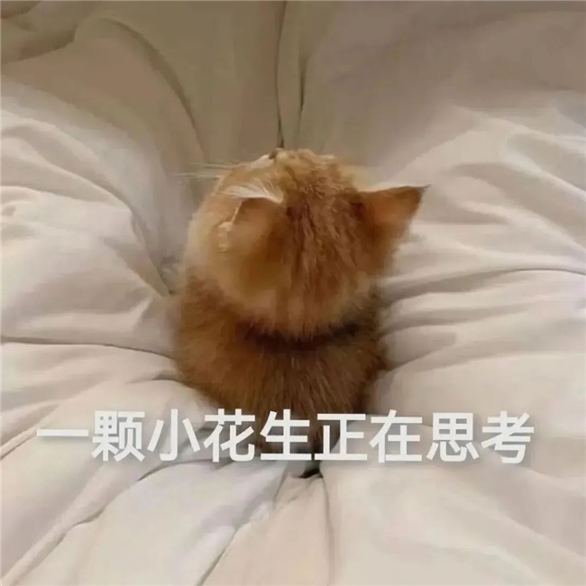 换电视不迷路，跟着全球权威评测机构Rtings买准没错！