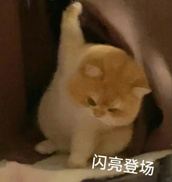从屏幕到控光都无短板，TCL T7L Ultra一步到位给你最好的体验