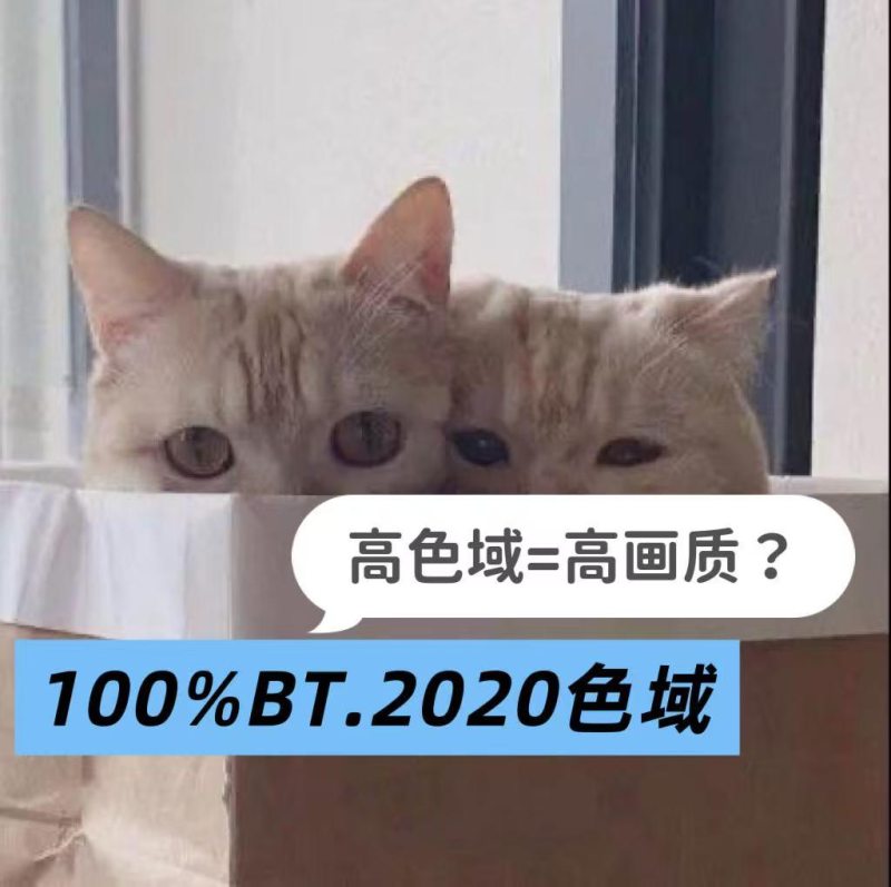 高色域不等于高画质！100%BT.2020背后猫腻，买电视前一定要看清