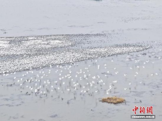 今秋以来最强冷空气近日影响吉林省 部分地区迎大到暴雪