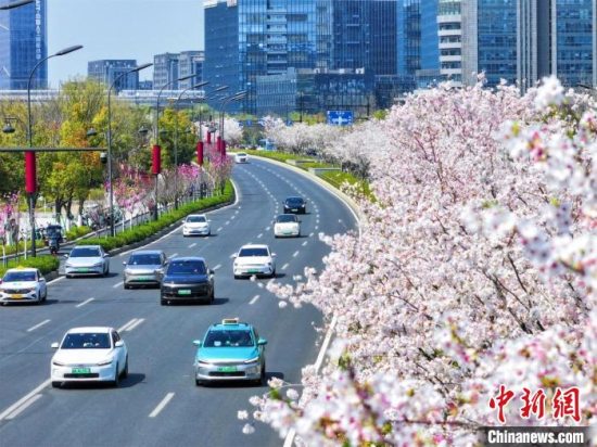 浙江天气冲击历史3月高温纪录可达34℃及以上 后迎过山车式降温