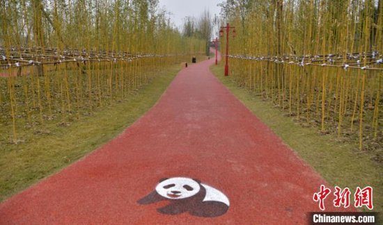 四川省竹林风景线建设现场推介会：做大做强“竹产业”
