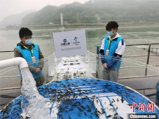 宜宾：30万尾长江上游珍稀特有鱼类鱼苗将陆续放流长江