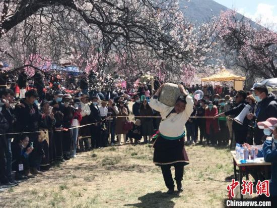 2022年西藏林芝第二十届桃花旅游文化节即将开幕 “桃花仙子”选拔大赛开始报名