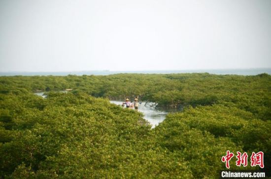 广西北海冯家江生态修复：“纳污河”变美丽湿地公园