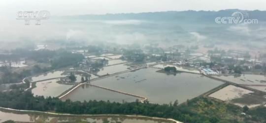 达州市开江县2.6万亩大闸蟹生态养殖基地开启大规模捕捞