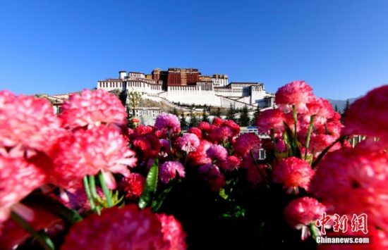 西藏世界文化遗产布达拉宫、罗布林卡3日恢复对外开放