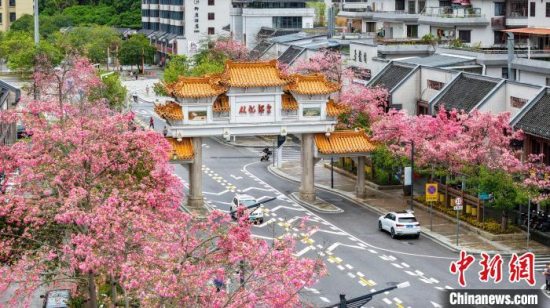 广州市从化区在温泉镇温泉风景区湿地公园启动首届丝木棉节