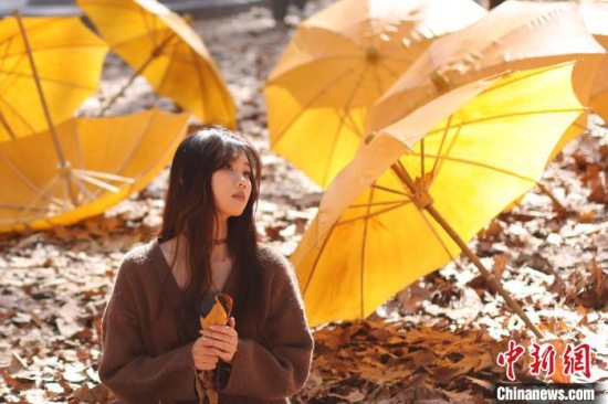 梧桐树下体验非遗 东南大学四牌楼校区初冬“限定美景”上线