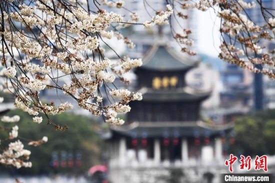 贵州大部分地区气温回升 社交平台被同一件事刷屏“晒太阳”