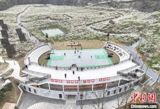 春日亦有蜡梅影 重庆市北碚区“中国蜡梅之乡”做靓花木产业
