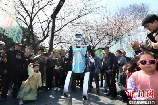 武汉“花事”步入樱花盛放期 机器人成“明星”科技色彩提亮春色