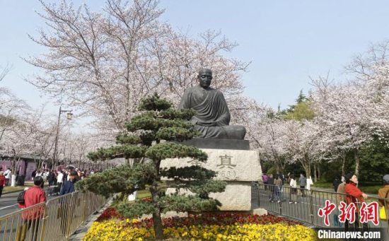 樱运而生——2025鉴真樱花季启动仪式在扬州举行 樱花盛开宛如春日“雪景”