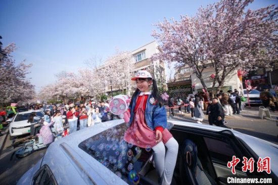 2025年天津市海棠花节暨第三届五大道海棠花节启幕 打造全景沉浸式春日盛宴