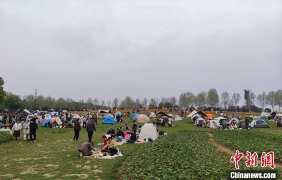 湖北：清明节假期“赏花+”、踏青旅游等受热捧
