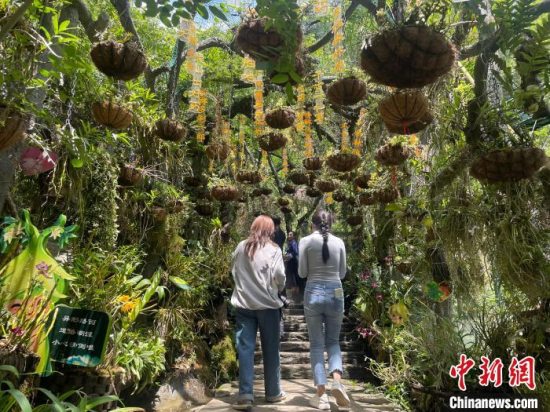 云南将分批建设3000个旅居村 多举措打造“旅居+康养”产业