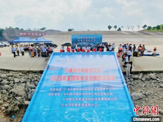 广西来宾市红水河放流10万尾珍稀鱼苗 创单次规模新高
