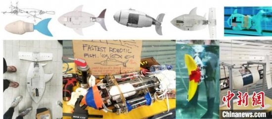 南方科技大学与香港大学合作开发出世界上50米游得最快的仿生机器鱼
