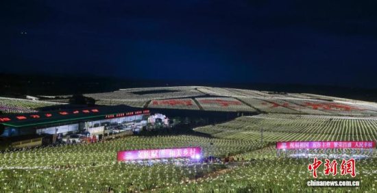 2025广西乡村旅游嘉年华在南宁市隆安县金穗万亩火龙果产业示范基地举行