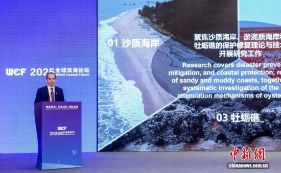 河海大学校长郑金海：加强韧性海岸研究 应对气候变化挑战