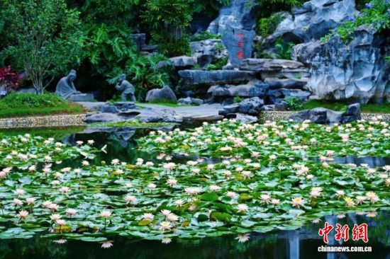 2025青秀山金秋登高节开启 为期一个月主题线路串联山水引客 2025青秀山金秋登高节开启 为期一个月主题线路串联山水引客