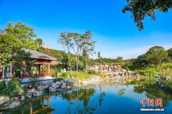 广西药用植物园等三家单位联合筹备创建南宁国家植物园 广西药用植物园等三家单位联合筹备创建南宁国家植物园