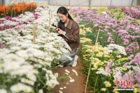 邹平：以特色产业为根、文农旅融合为翼走出乡村振兴高质量发展之路