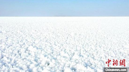 新疆巴州博湖县博斯腾湖出现冰花奇观