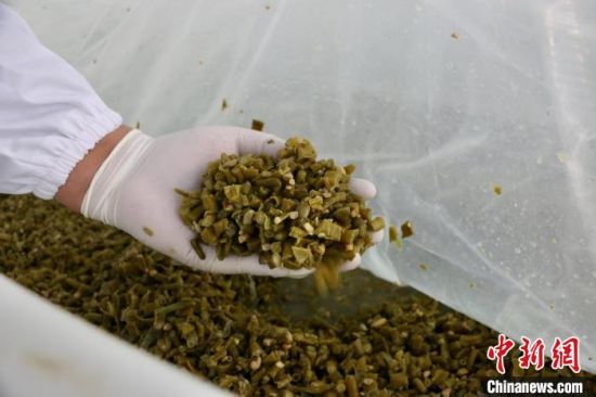 柳州发布螺蛳粉酸豆角标准 保护“网红”小吃高质量发展