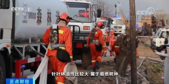 辽宁：大风来袭 森林卫士24小时巡视护安全