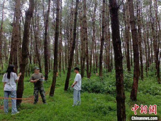 广西万亿元绿色产业让林业专业学生供不应求