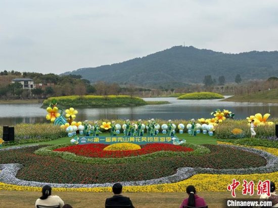 广西南宁第一届青秀山黄花风铃旅游季启幕持续至3月31日