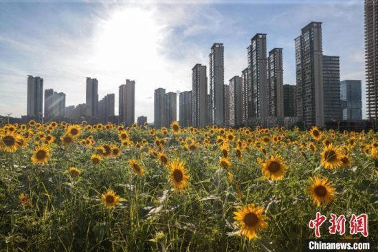 2025年上半年江西全省气温偏高 局部地区月平均气温创新高